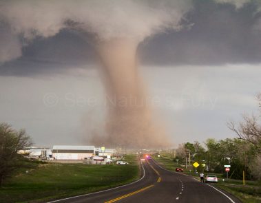 Photogenic tornado that crossed the road. This was shot during a storm chasing and photography tour.