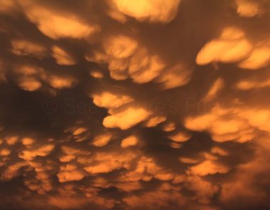 Mammatus clouds lit by the sunset in New Mexico. This was shot during a storm chasing, weather and photography tour.