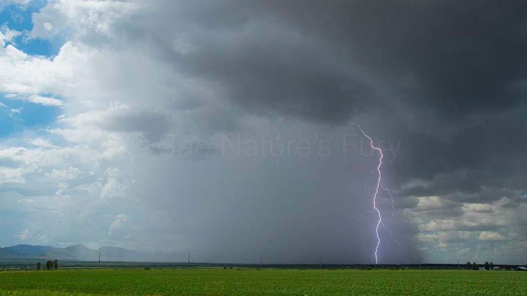 A lightning bolt from a monsoon storm in Arizona. This was shot during a storm chasing, weather and photography tour.