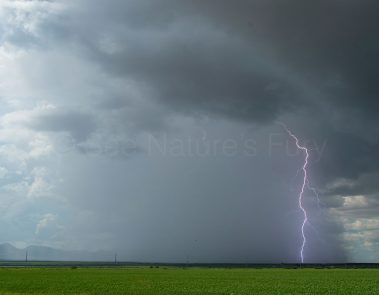 A lightning bolt from a monsoon storm in Arizona. This was shot during a storm chasing, weather and photography tour.