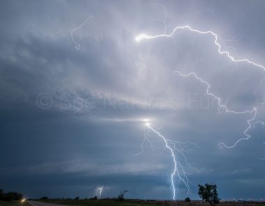 Oklahoma Lightning 4